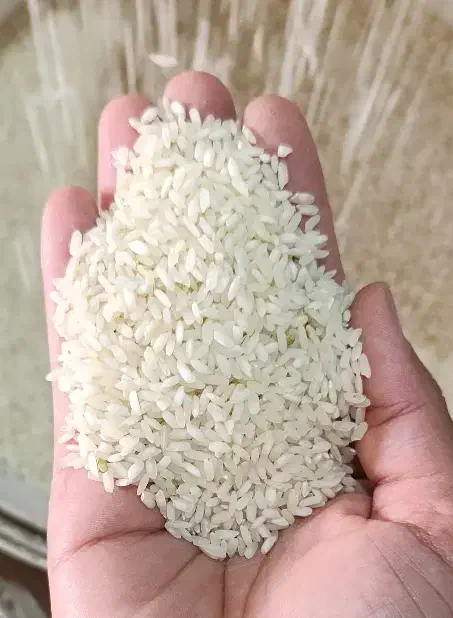 بـرنج فـروشی کـرد زنـگنـه|عمدهفروشی|باغ ملک, |دیوار