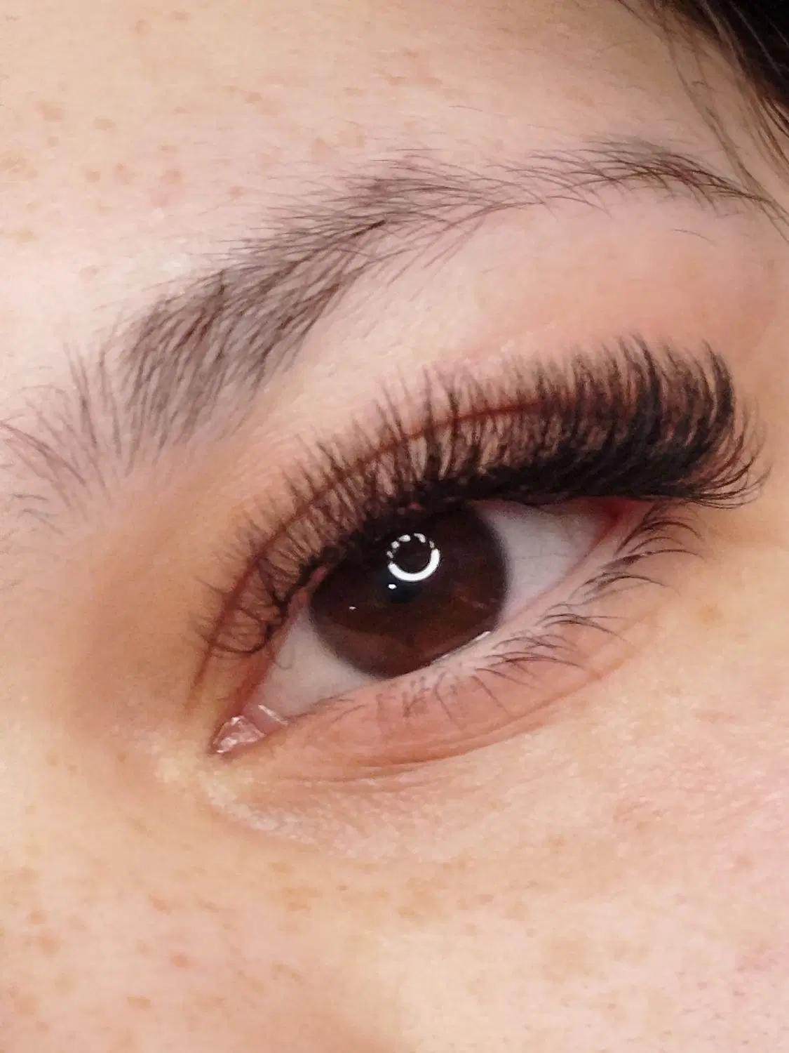 مدل مژه|خدمات آرایشگری و زیبایی|قم, شهرک توانیر|دیوار