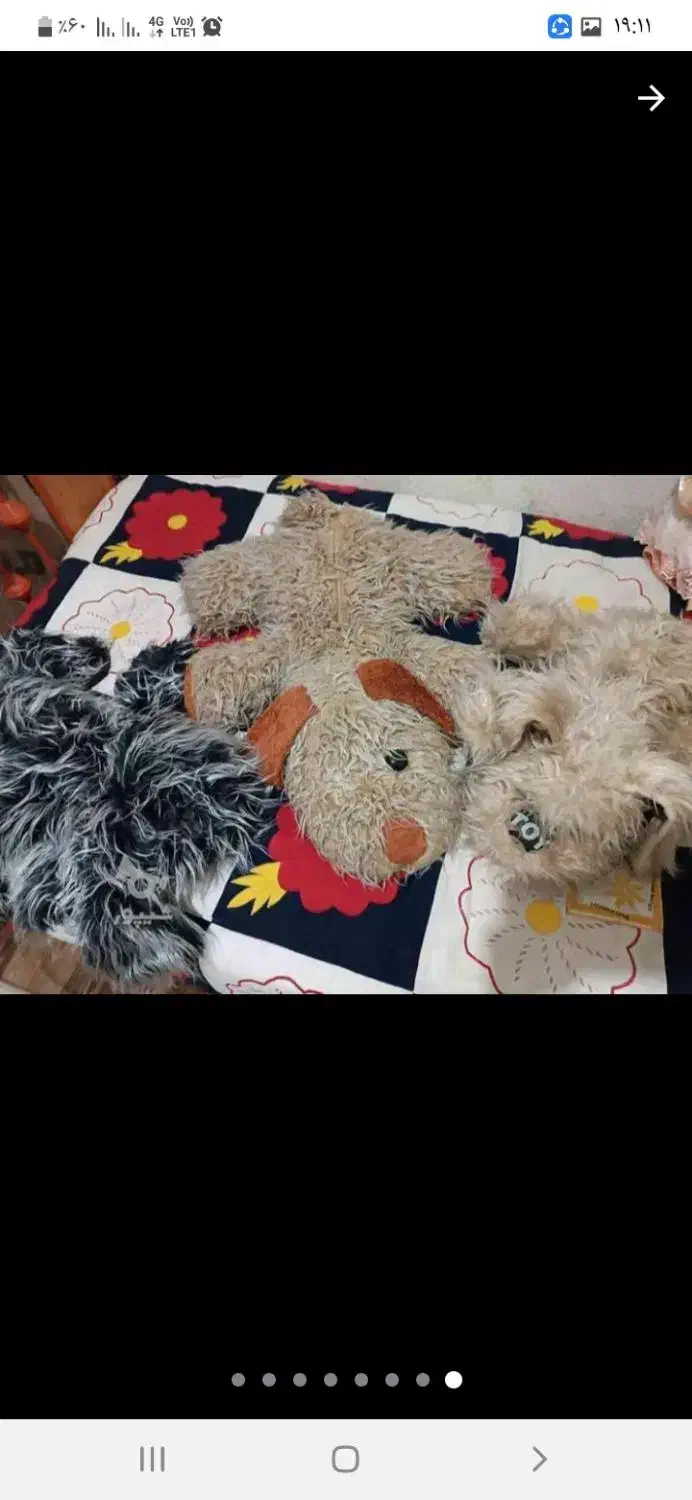 عروسک ها|اسباب‌‌بازی|محمدیه-قزوین, |دیوار