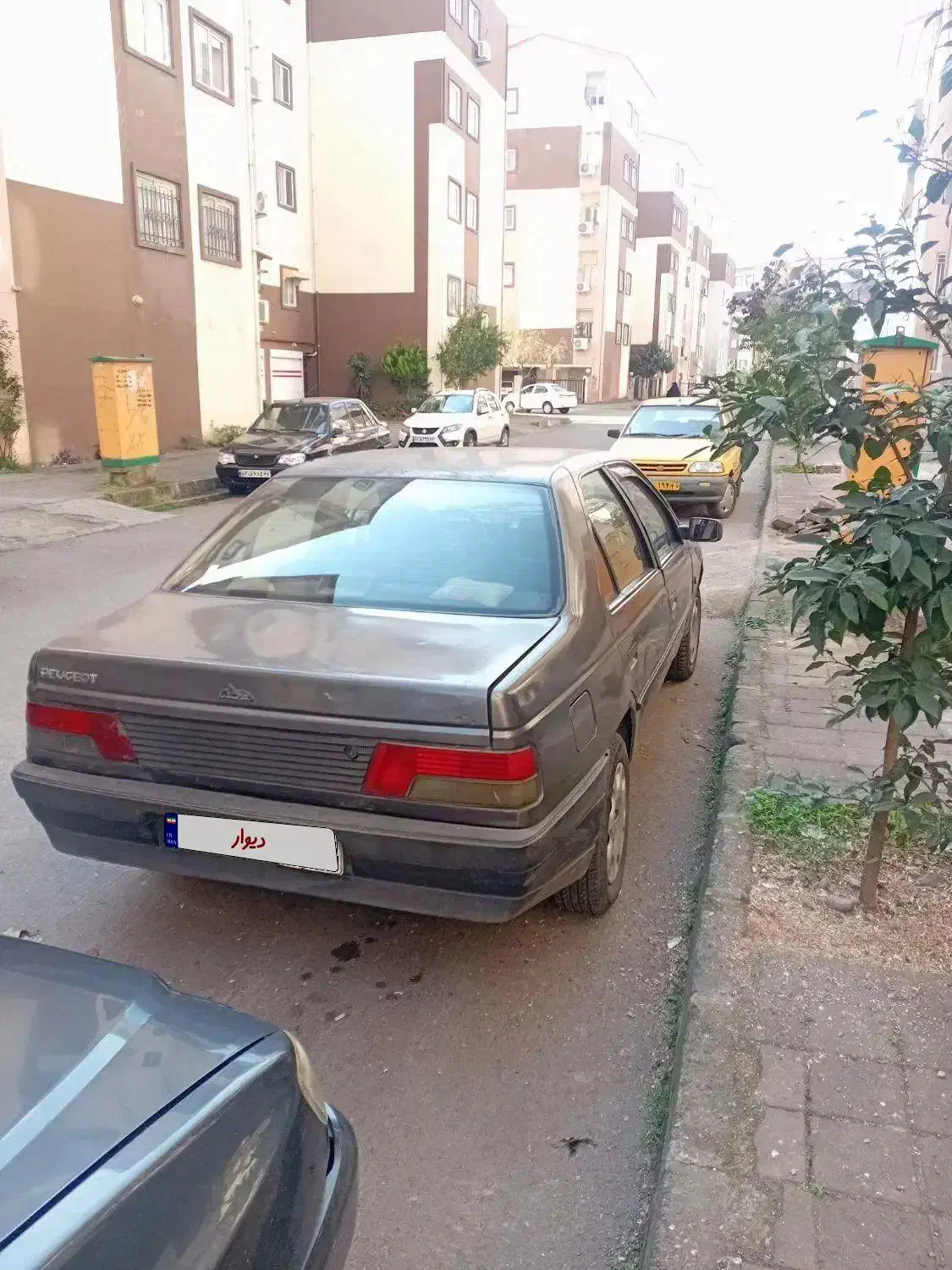 ماشین روآ دوگانه شرکتی مدل 86|خودرو سواری و وانت|رشت, کوی مهر|دیوار