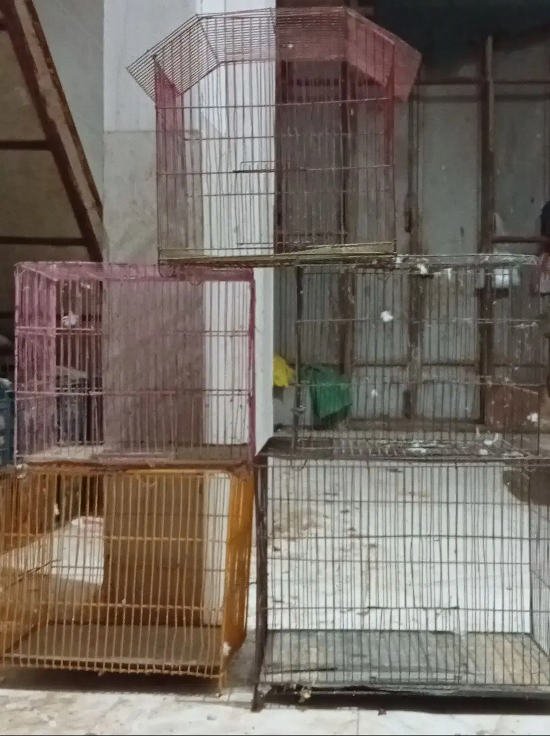 قفس|لوازم جانبی حیوانات|باوی, |دیوار