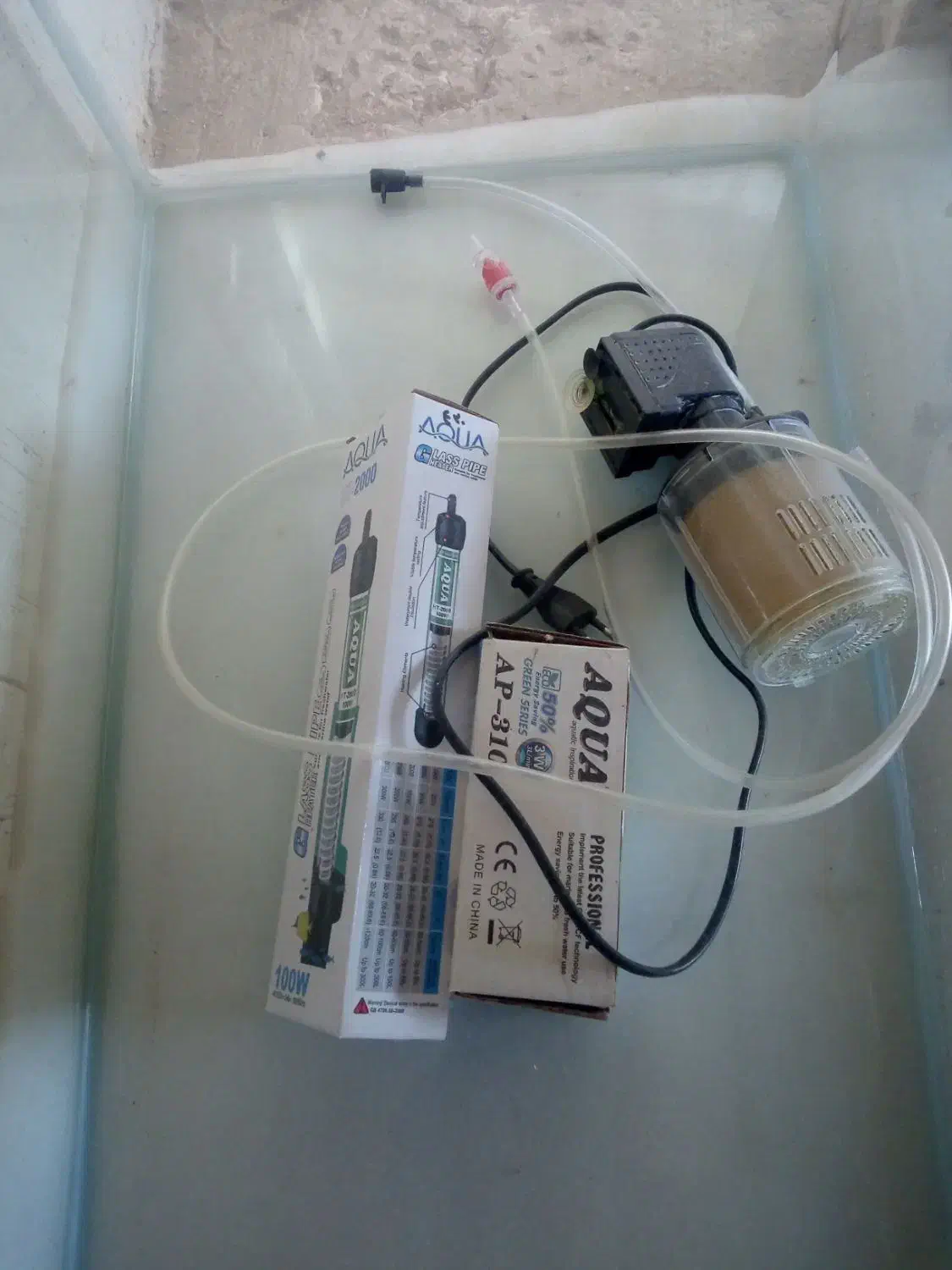 اگریوم|ماهی|بازرگان, |دیوار