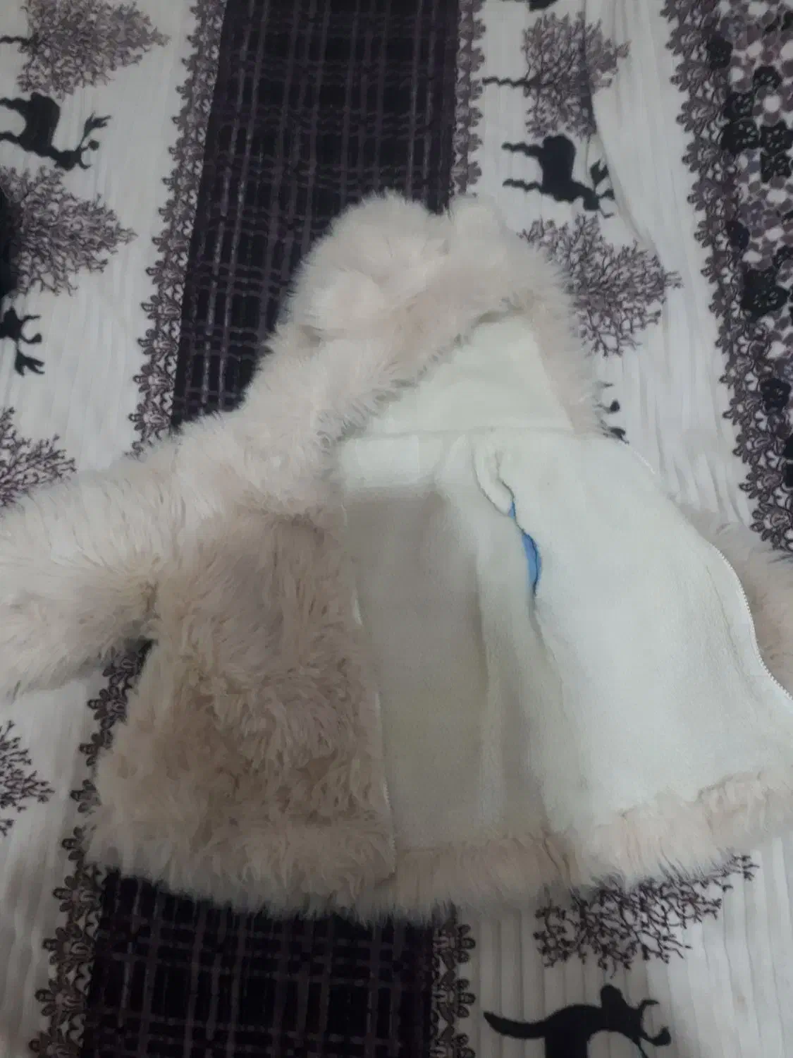 پالتو بچگانه خز دار|لباس|سبزوار, قاضی زاد|دیوار