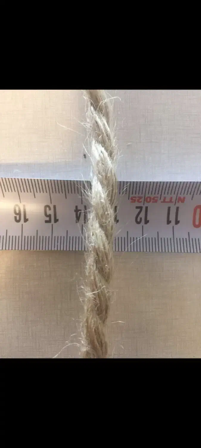 نه کنفی|لوازم خیاطی و بافتنی|بندر انزلی, دهکده ساحلی|دیوار