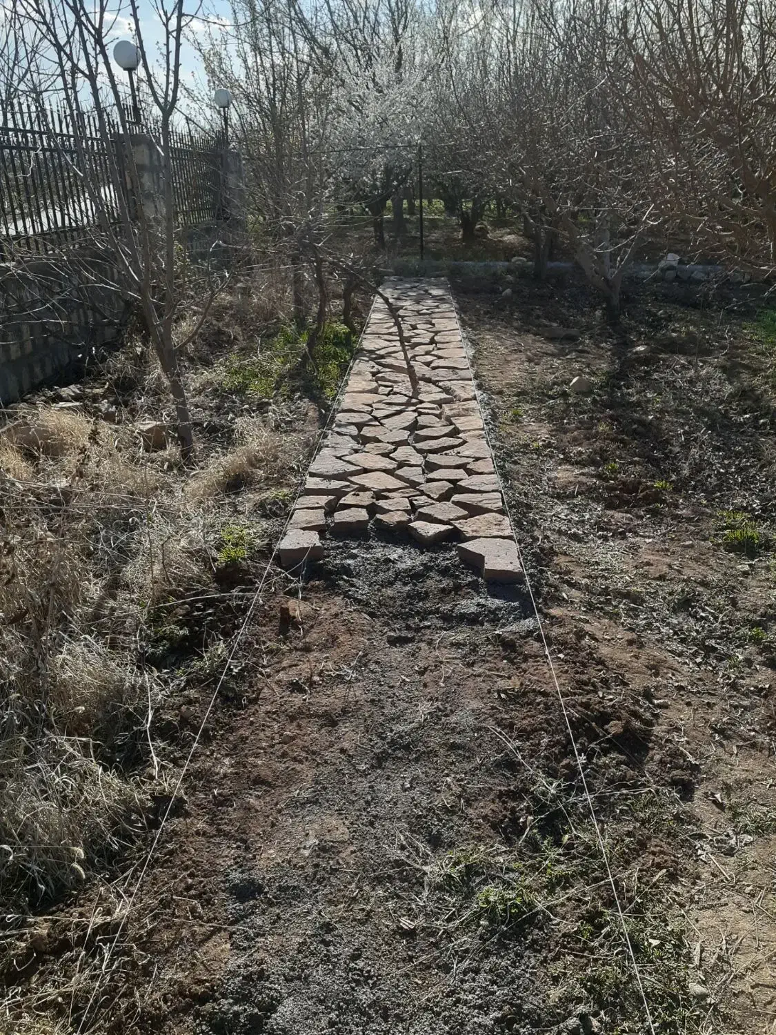 بنای|خدمات پیشه و مهارت|بجنورد, |دیوار