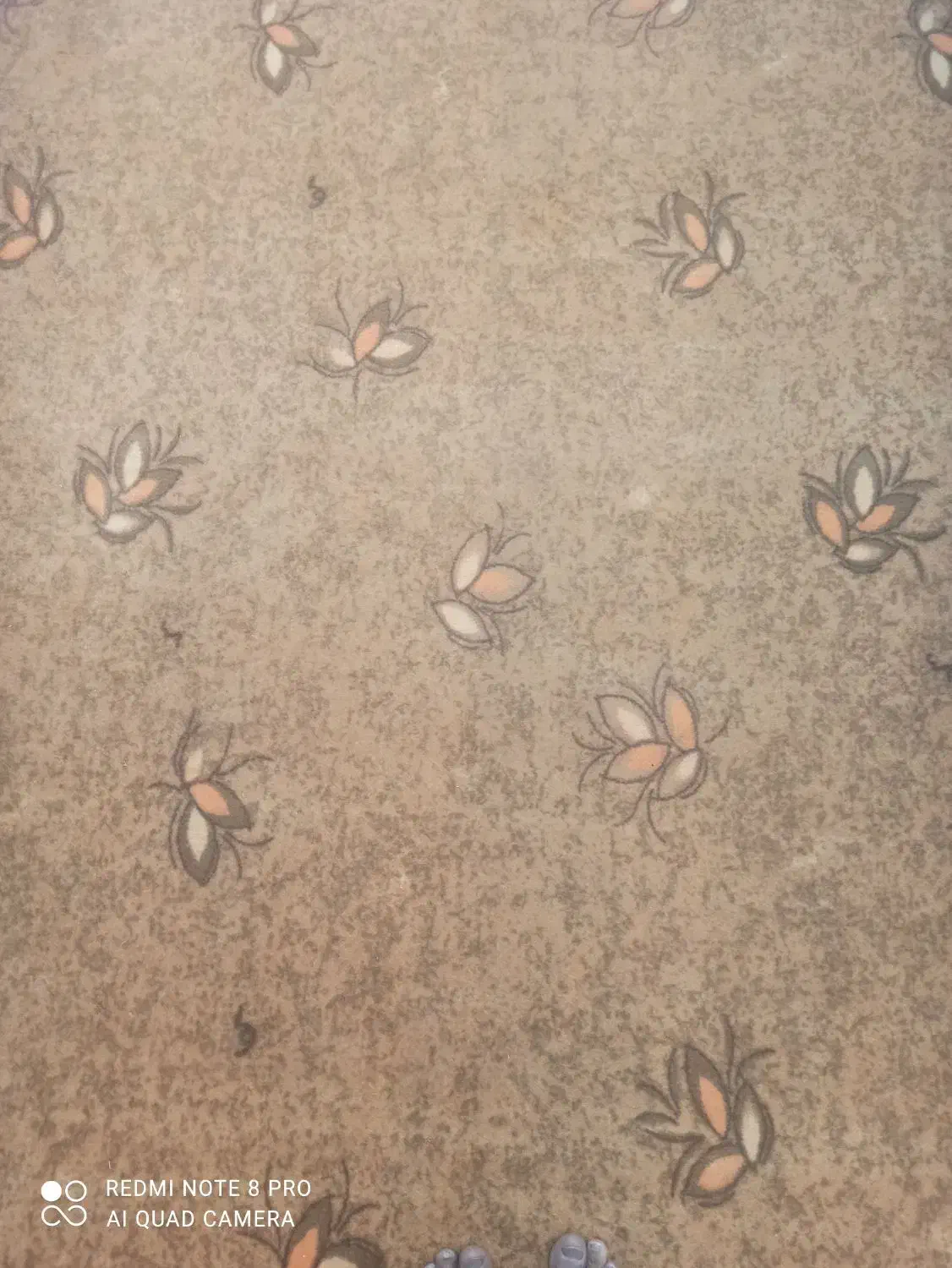 موکت|موکت|شیراز, سینما سعدی|دیوار