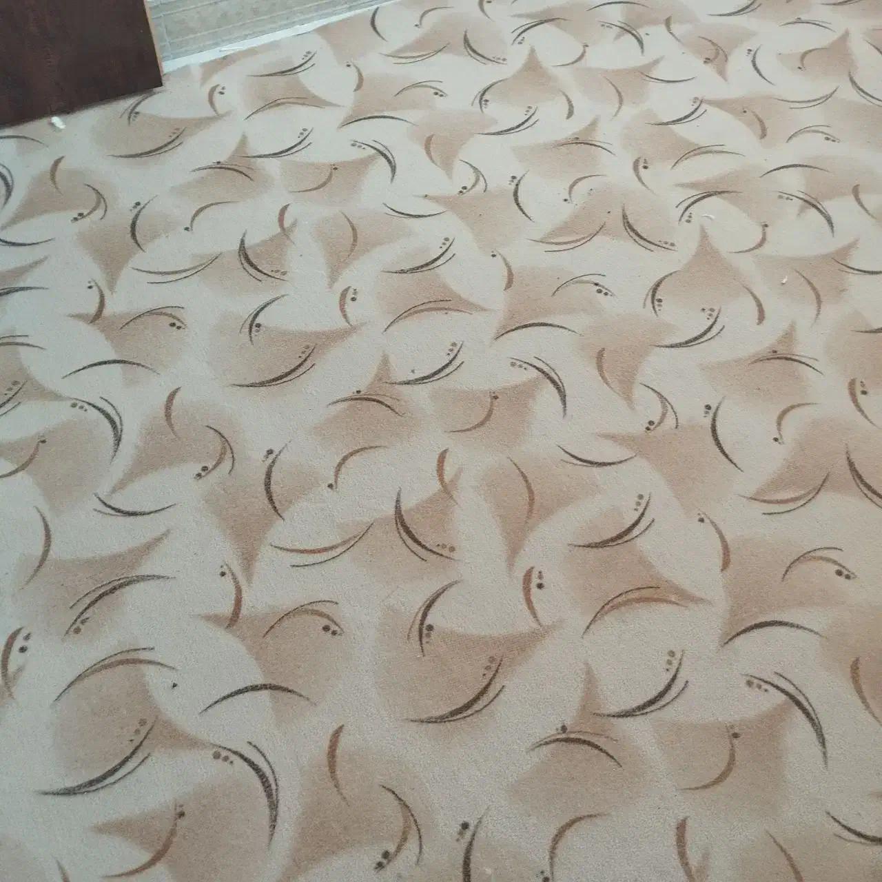 ۳عددموکت|فرش|زابل, |دیوار