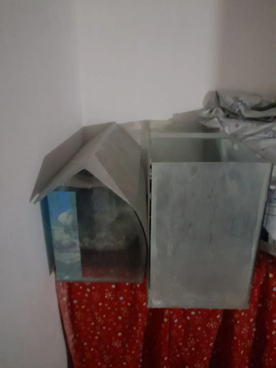 آکواریوم|ماهی|بیرجند, |دیوار