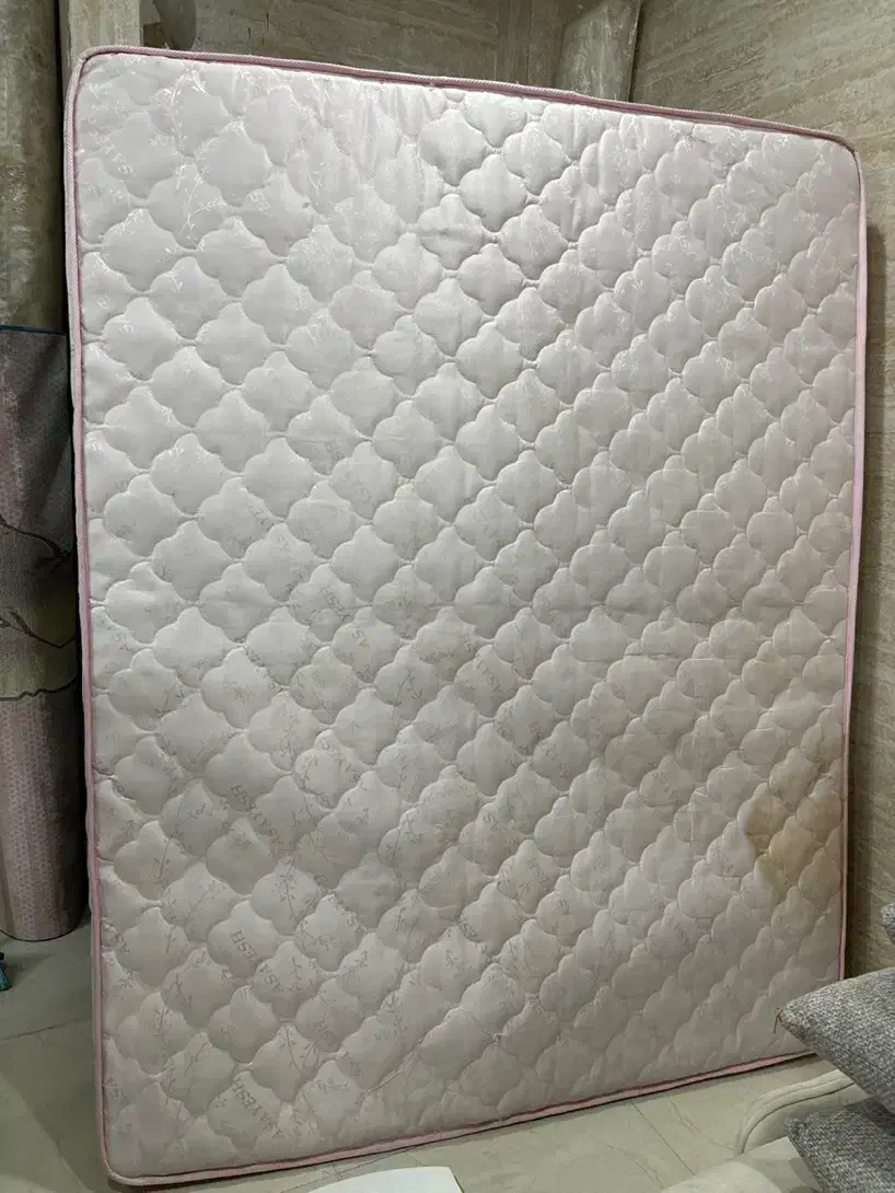 تشک تخت دو نفره|تشک تختخواب|دوگنبدان, |دیوار