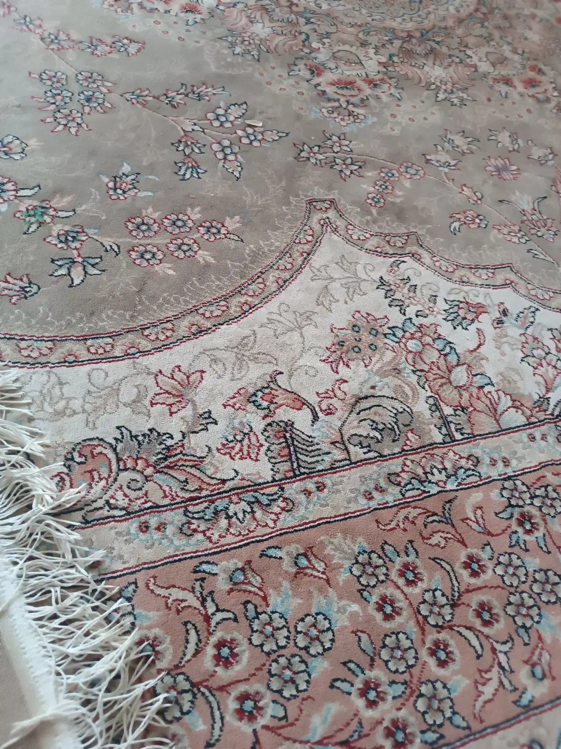 قالی ۱۲ متری درحد|فرش|تربت جام, کلالی|دیوار