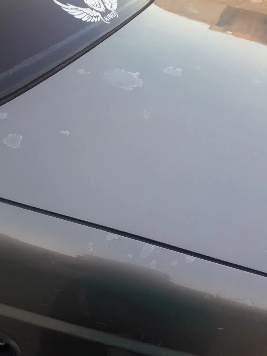 فروشی|خودرو سواری و وانت|جلگه زوزن, |دیوار