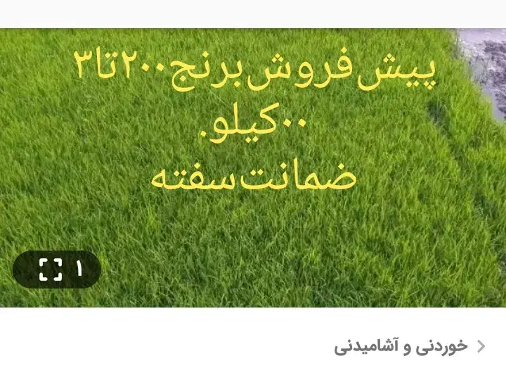 اسباب‌بازی|اسباب‌‌بازی|دورود, |دیوار