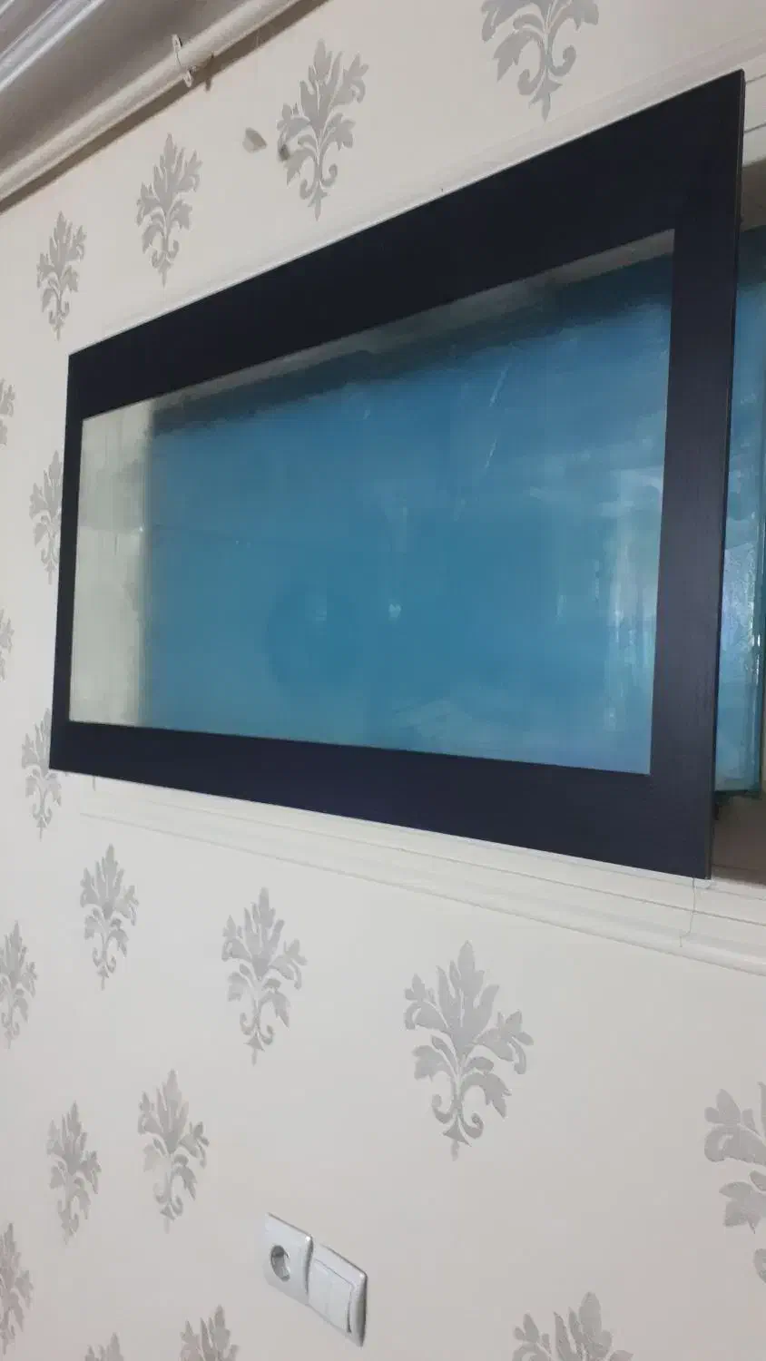 آکواریم دیواری|ماهی|محمدیه-قزوین, |دیوار