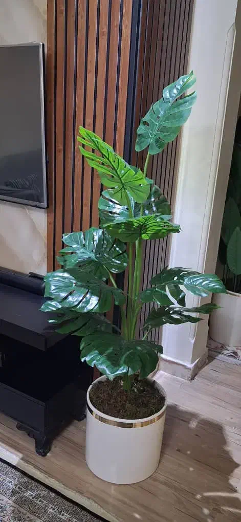 حراج تمام درختچه های وارداتی (درختچه مصنوعی خارجی)|گل مصنوعی|تهران, شهرک پاسداران|دیوار