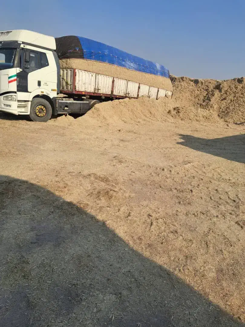 فروش کاه نیشکر خشک|حیوانات مزرعه|فردوس (خراسان), |دیوار