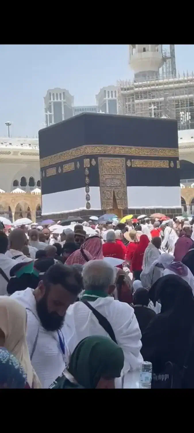 مرکز خرید فروش فیش حج در سیرجان گویینی|تور و چارتر|سیرجان, |دیوار