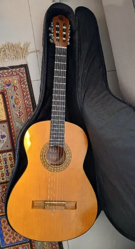 گیتار MAT2|گیتار، بیس، امپلیفایر|گلبهار, شهر جدید گلبهار|دیوار