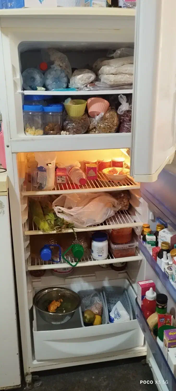 یخچال|یخچال و فریزر|شیراز, بالا کفت|دیوار