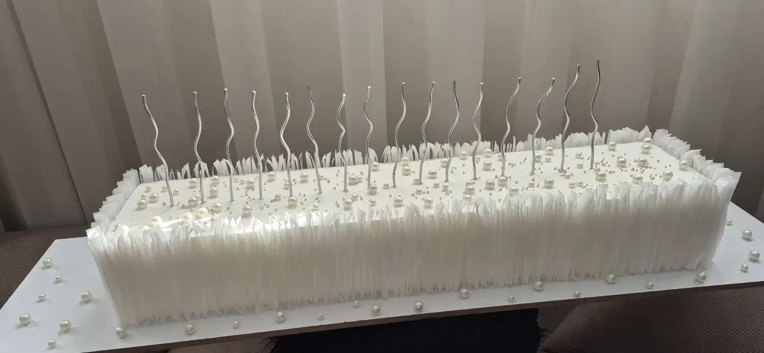 چالش فوت ماکت کیک|مجسمه، تندیس، ماکت|تبریز, |دیوار