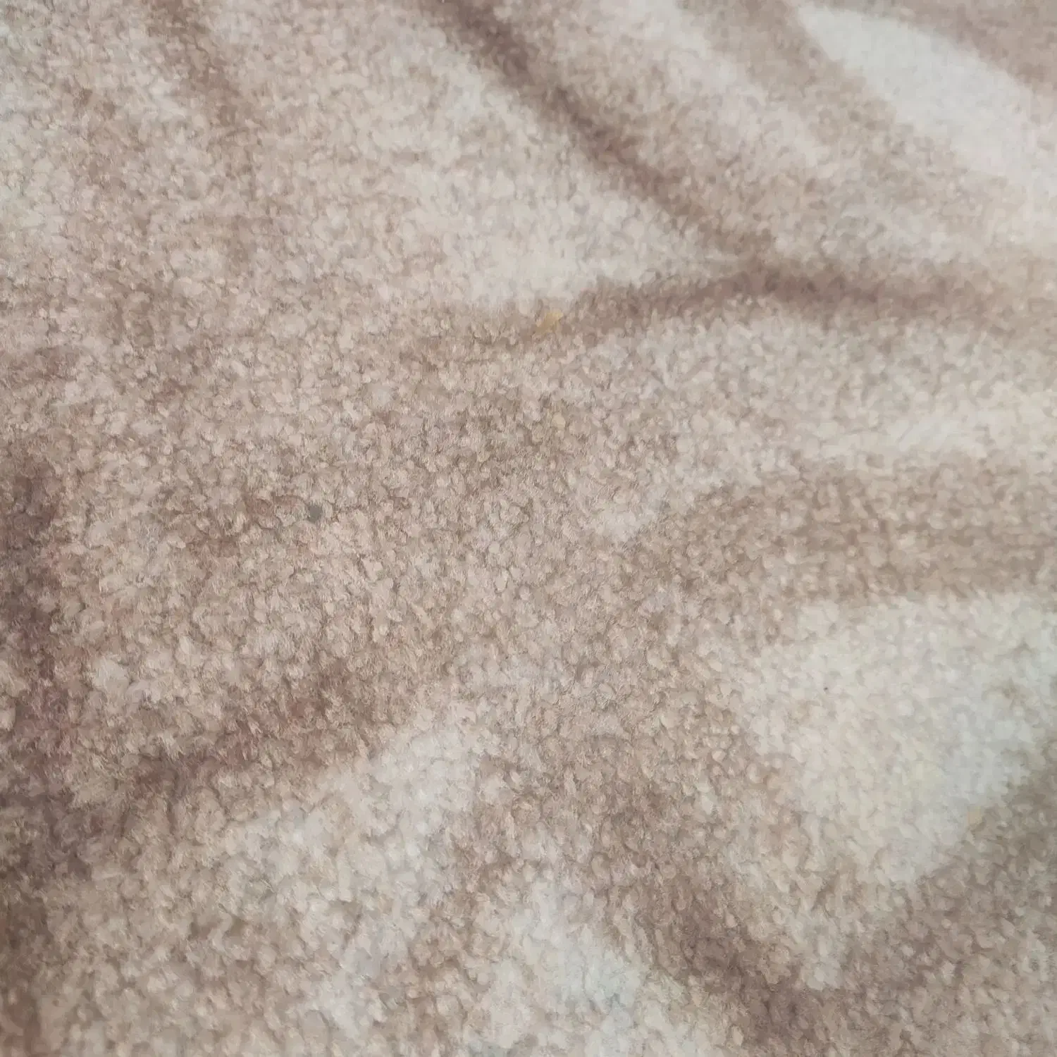 فروش فوری زمین|فروش زمین و ملک کلنگی|فیروزآباد (فارس), |دیوار