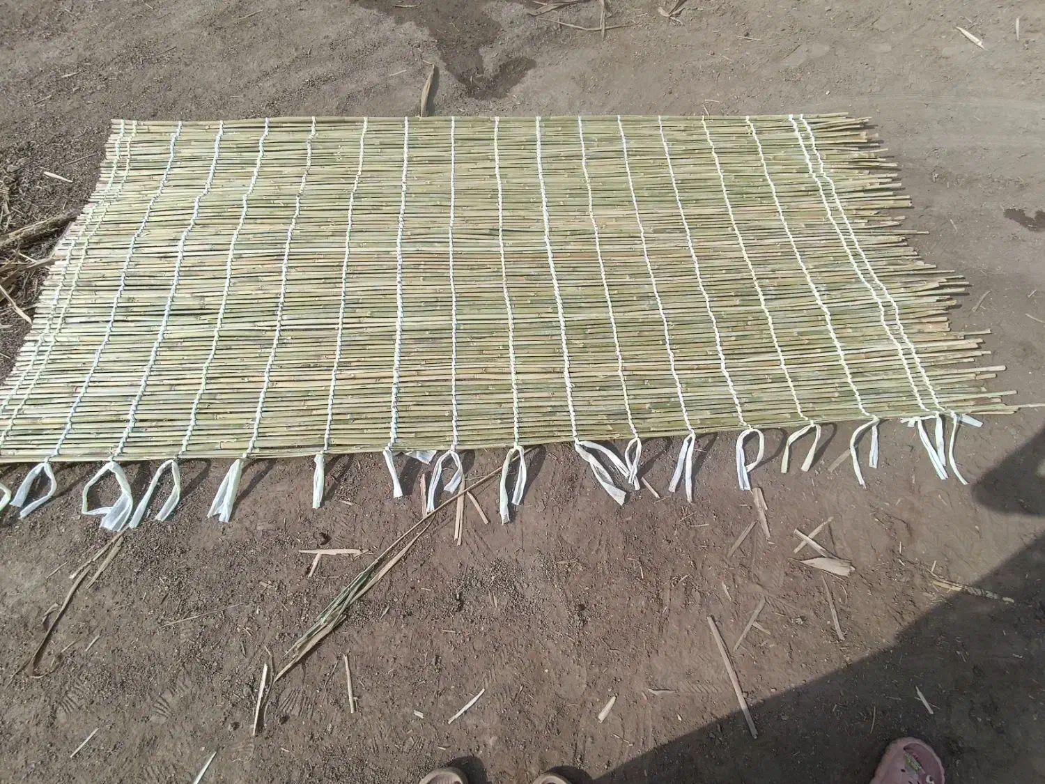 حصیر بافی  آقچلی|صنایع دستی و سایر لوازم تزئینی|گنبد کاووس, |دیوار