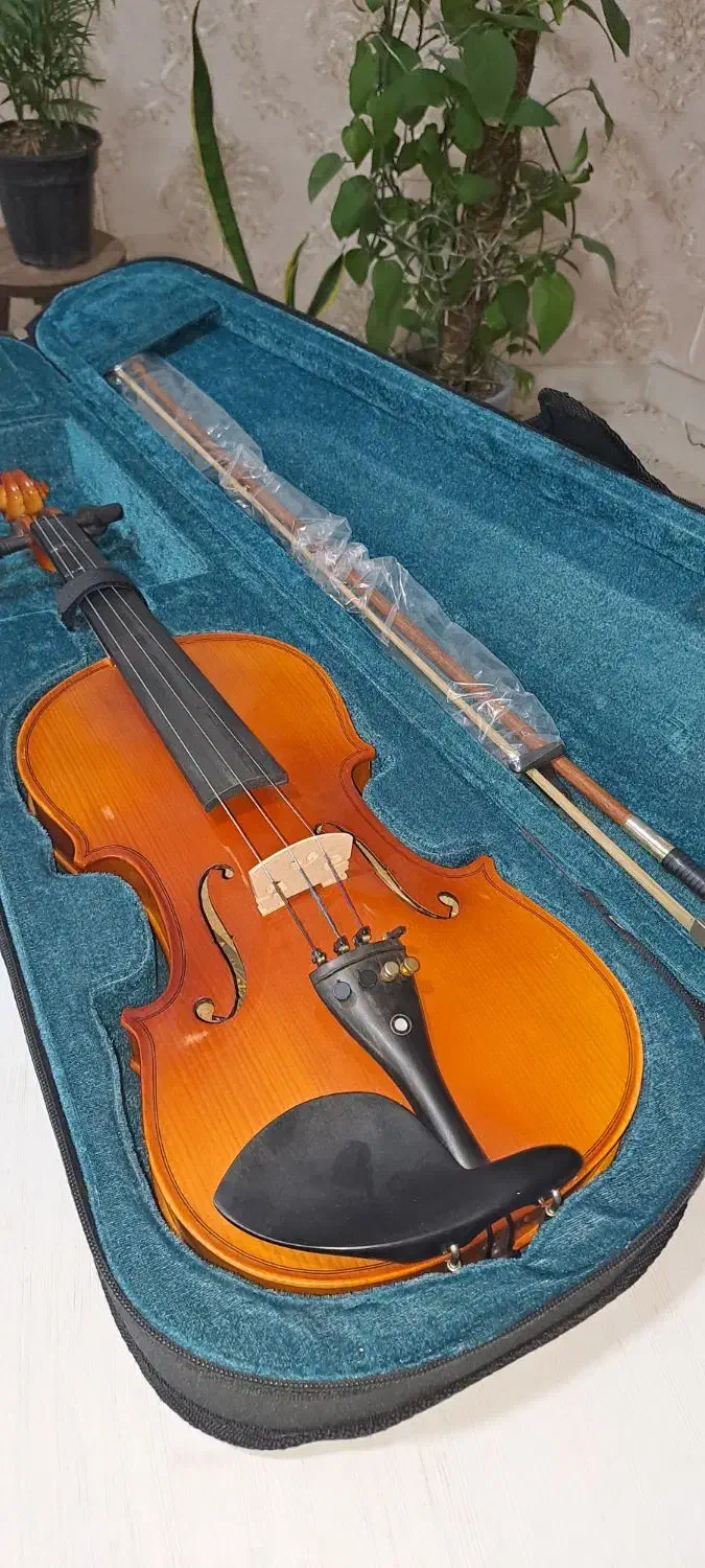 ویولن درحدنو|ویولن|بندرعباس, |دیوار