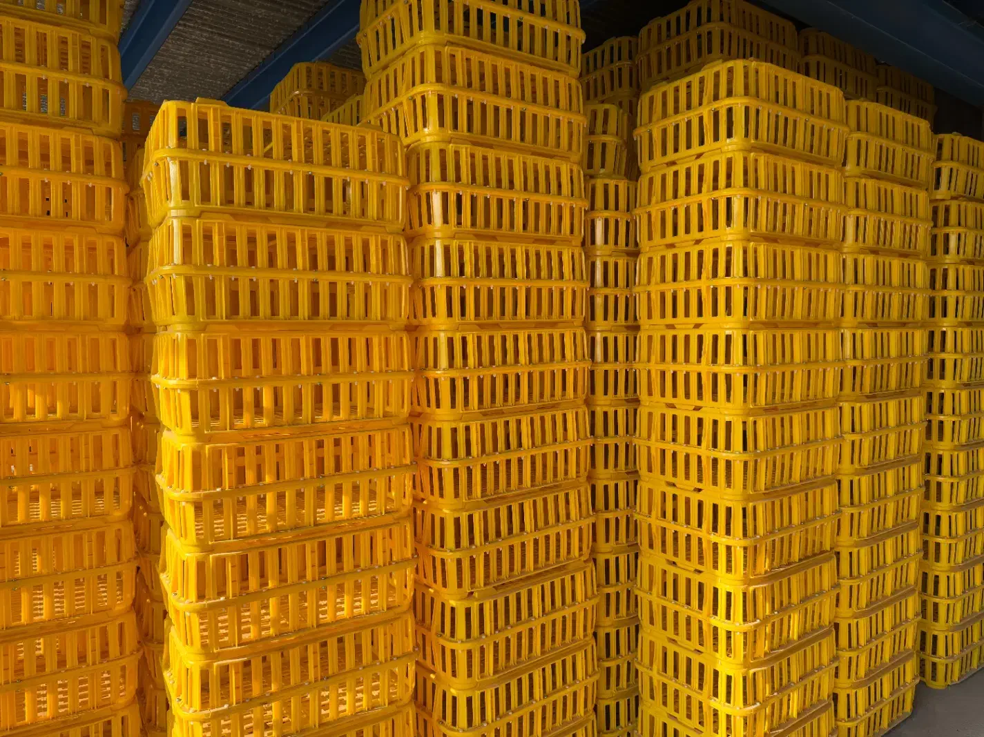 سبد مرغی|ظروف نگهدارنده، پلاستیکی، یک‌بارمصرف|پاکدشت, پاکدشت (مامازند)|دیوار