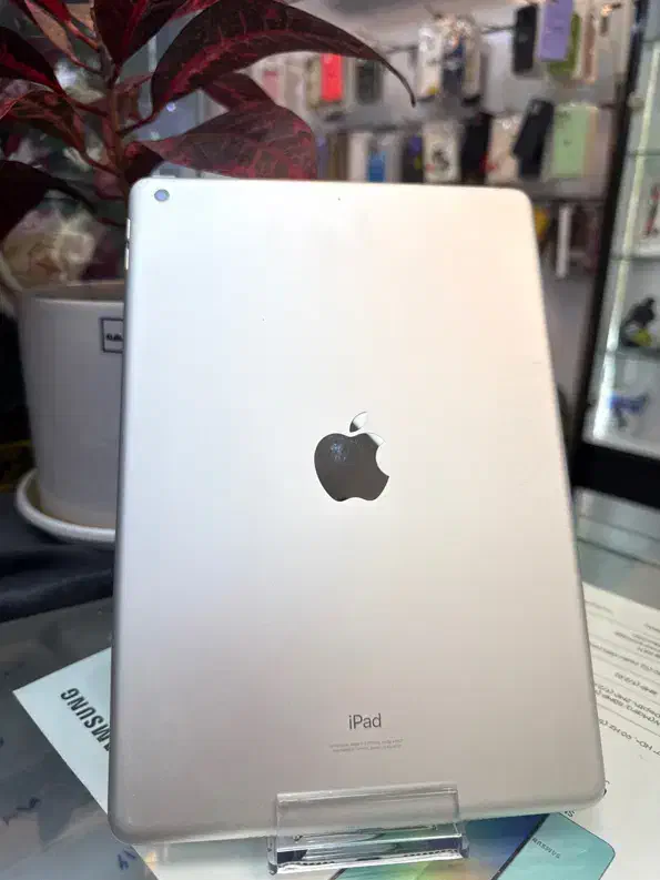 Ipad pro|تبلت|شیراز, زند|دیوار