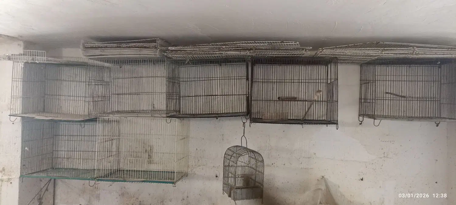 قفس پرنده|لوازم جانبی حیوانات|مانه, |دیوار