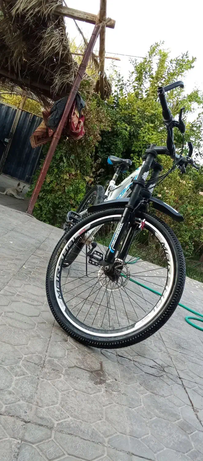 دوچرخه 26|دوچرخه، اسکیت، اسکوتر|بم, |دیوار