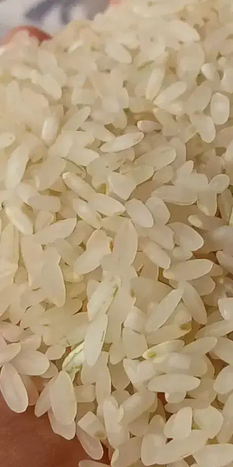 برنج کامفیروزی ولوبیا قرمز|عمدهفروشی|سیاخ دارنگون, |دیوار