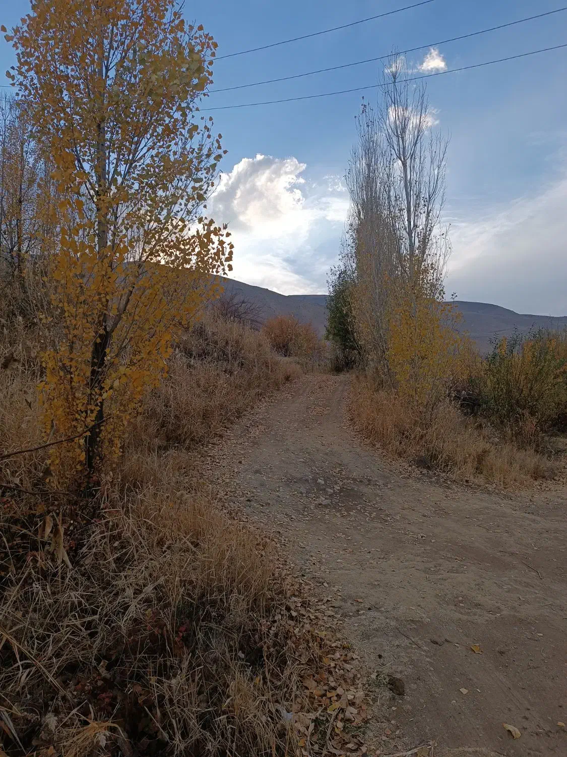 فروش شیش راس بز|حیوانات مزرعه|ازنا, |دیوار