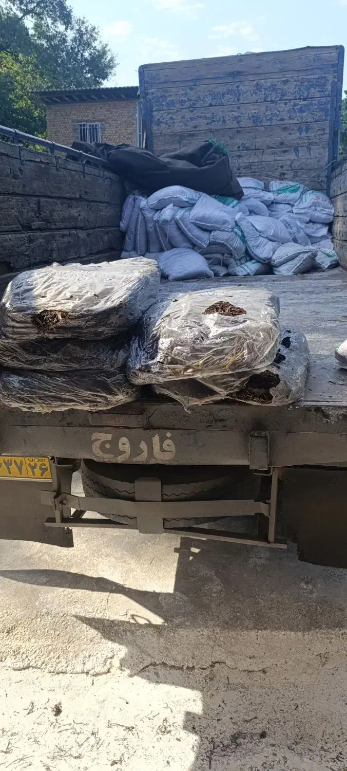 قارچ|خدمات باغبانی و درختکاری|گرگان, |دیوار