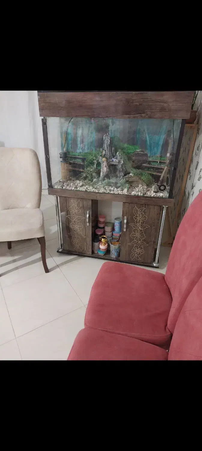 آکواریم|لوازم جانبی حیوانات|مشکین‌دشت, |دیوار