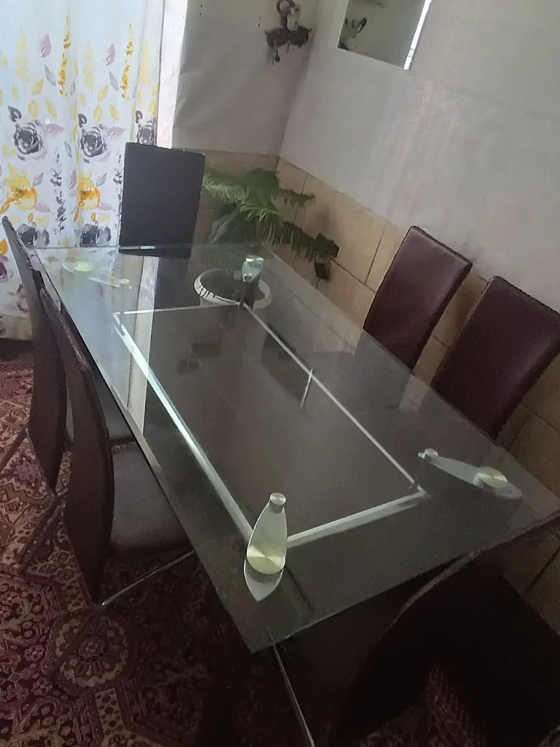 میز صندلی|میز و صندلی غذاخوری|شیراز, دست خضر|دیوار