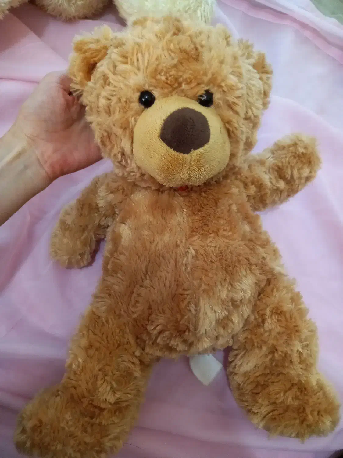 فروش فوری تعدادی عروسک خرس|اسباب‌‌بازی|تنکابن, |دیوار