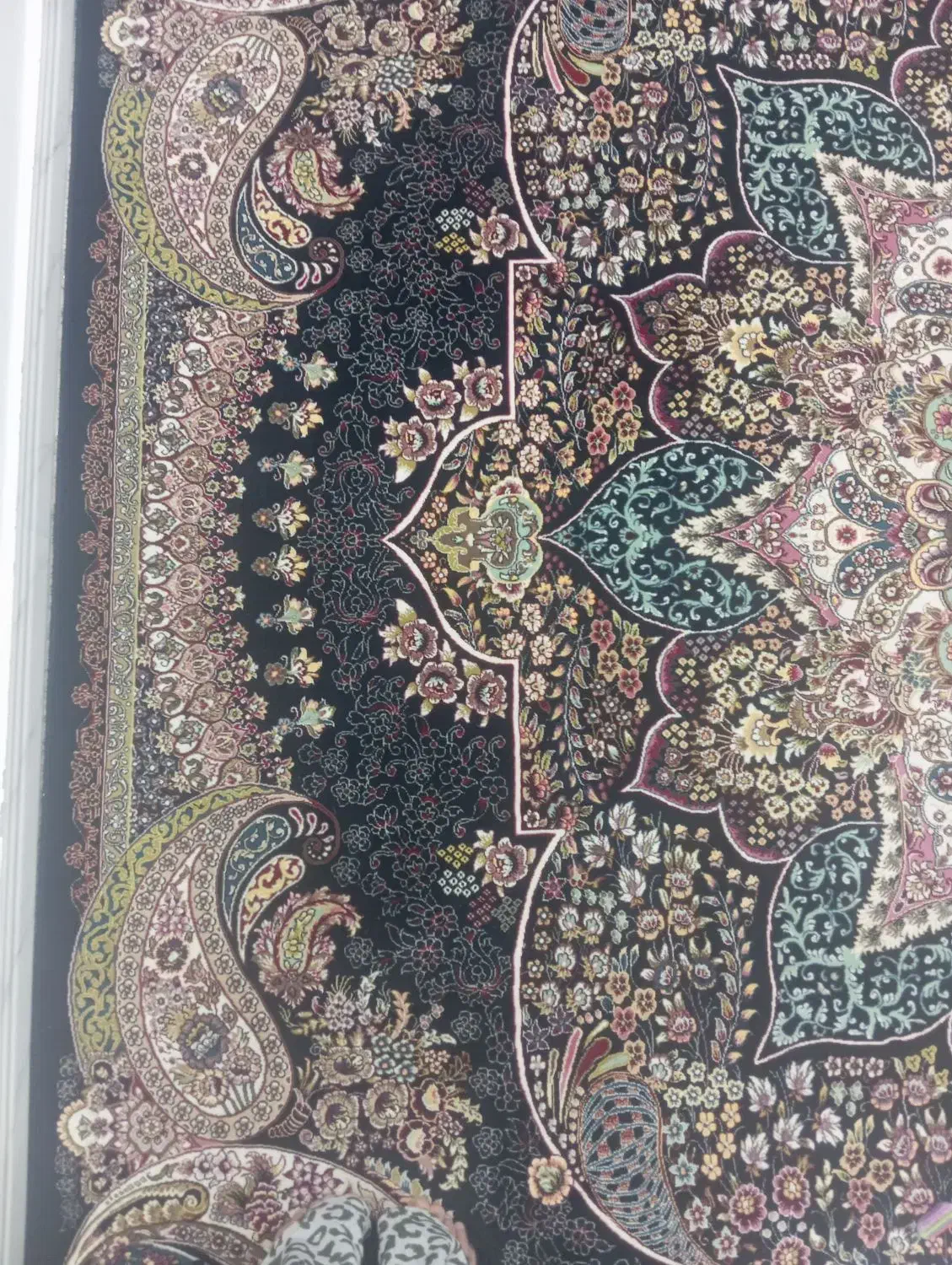 فرش 12 متری|فرش|پارسآباد, |دیوار