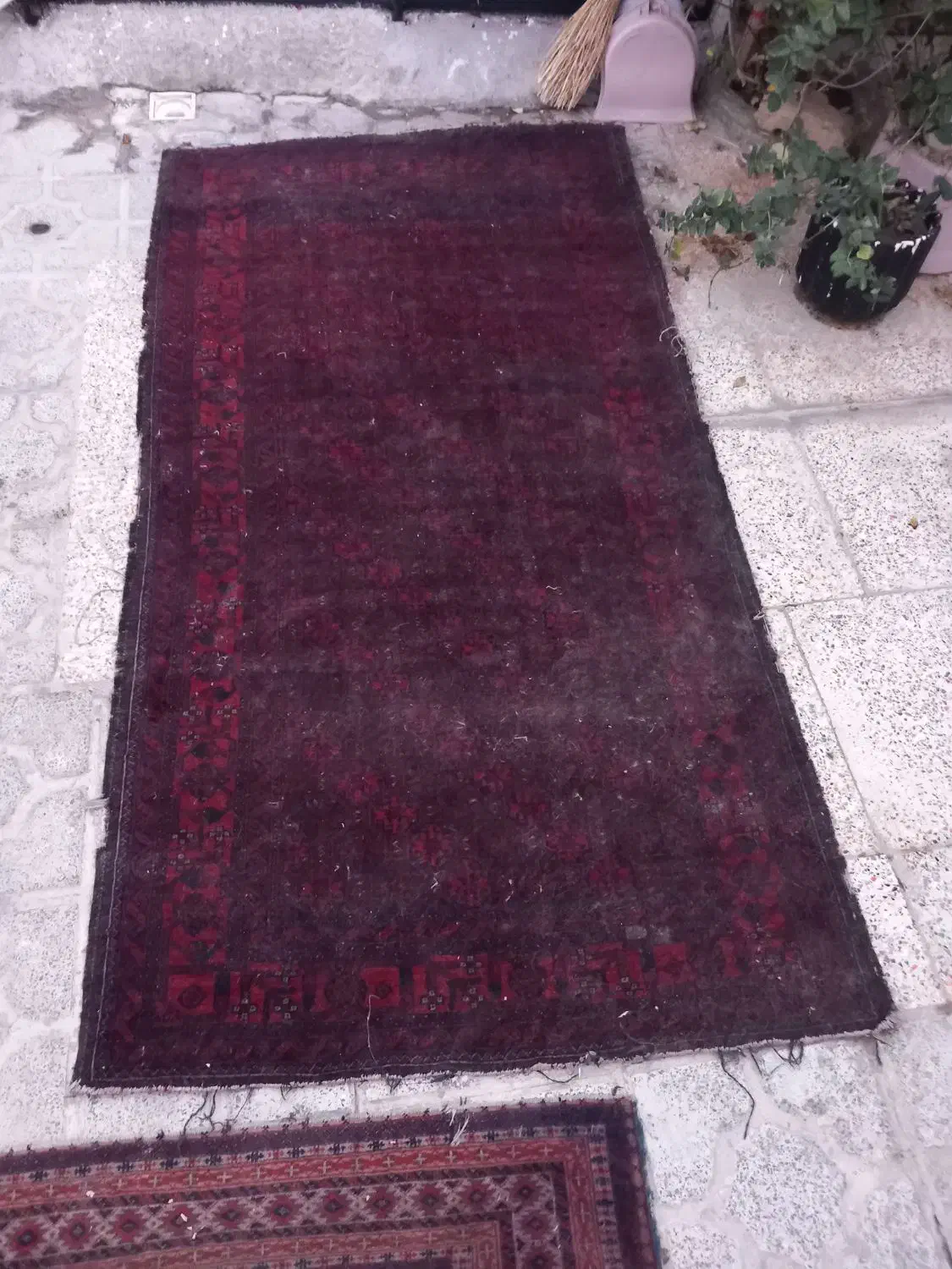 فرش قدیمی دست باف|فرش|رباط‌کریم, الارد|دیوار