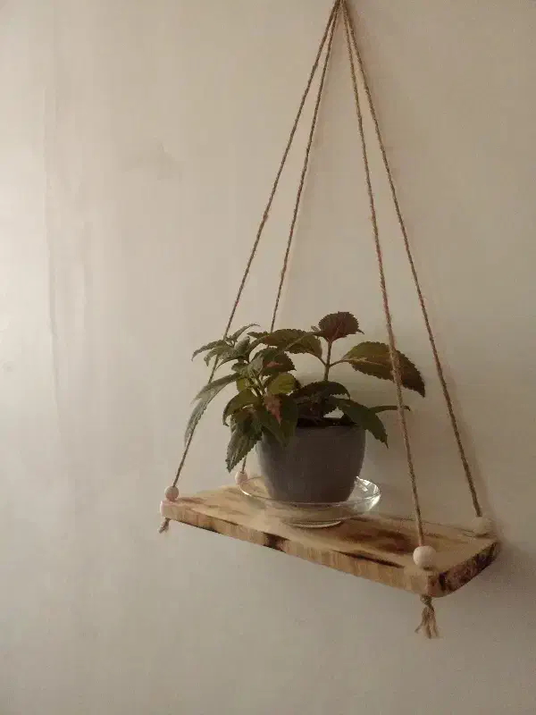 شلف دیواری|کتابخانه، شلف، قفسه‌های دیواری|بجنورد, |دیوار