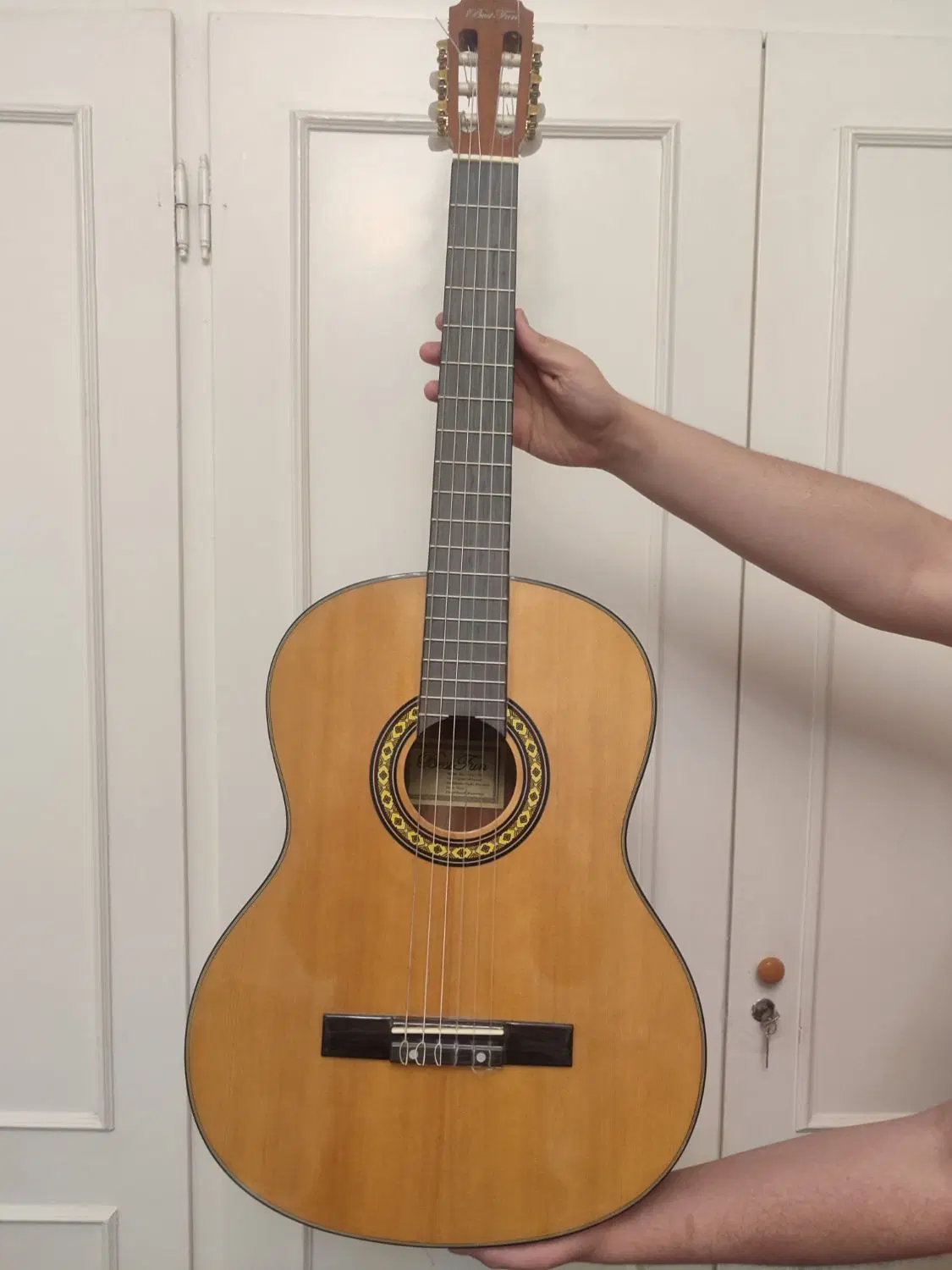 پک کامل گیتار best fun|گیتار، بیس، امپلیفایر|تهران, صد دستگاه|دیوار