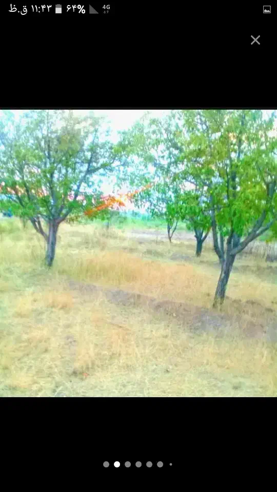 زمین باغی هرباتمانش۷۳ت دریالقوزآغاج|فروش دفتر صنعتی، کشاورزی، تجاری|مرند, |دیوار