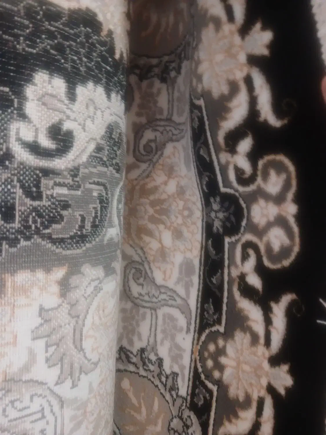 فرش|فرش|مشهد, شهید بهشتی|دیوار