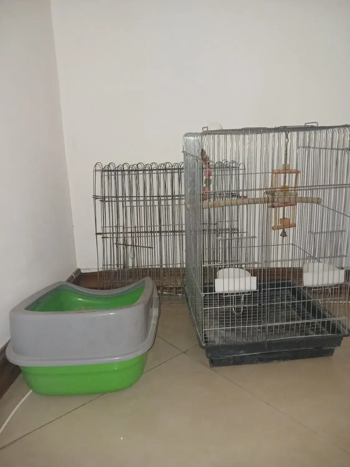 کالا حیوانات|لوازم جانبی حیوانات|آمل, |دیوار