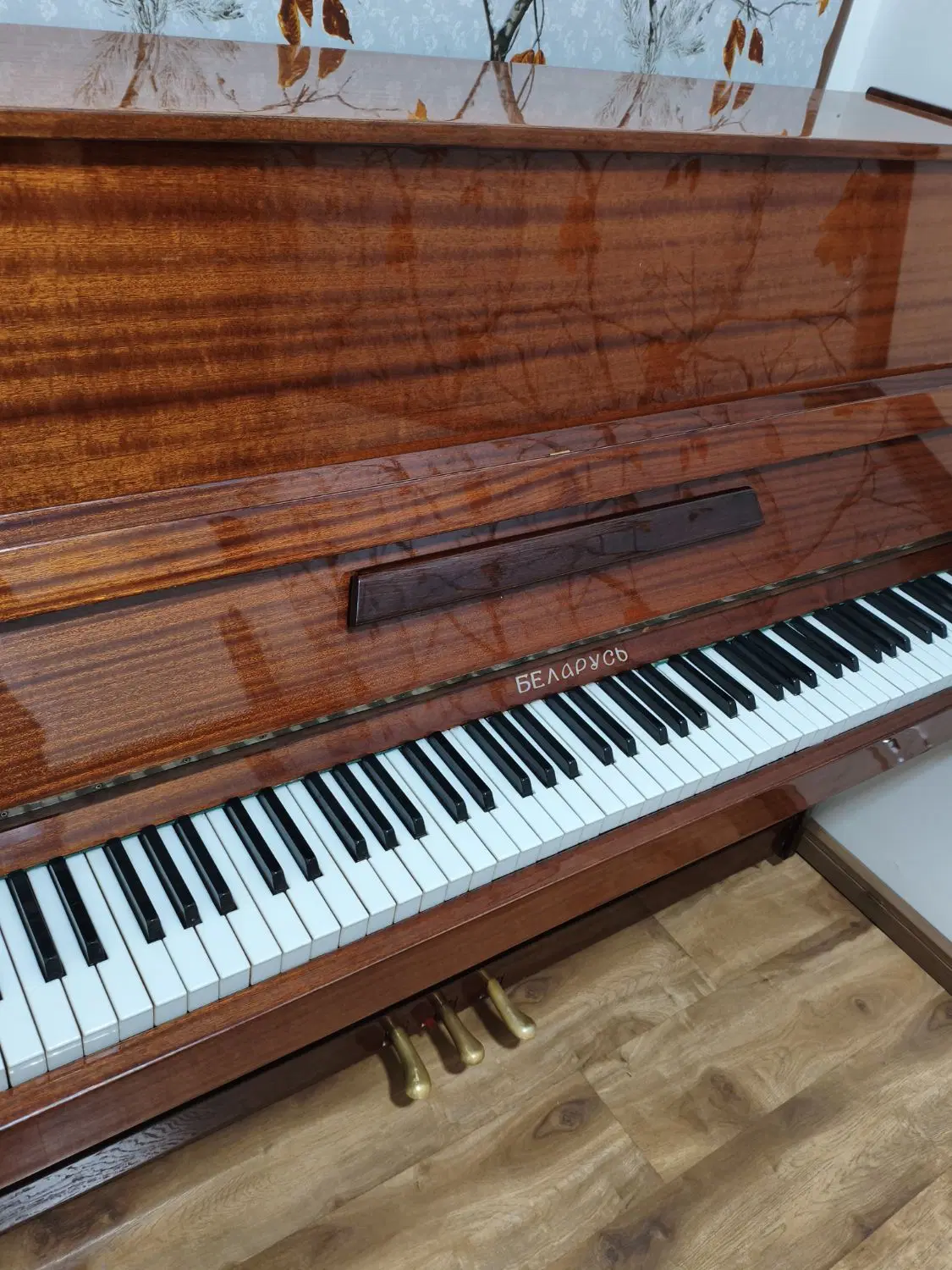 piano|پیانو، کیبورد، آکاردئون|تهران, حکمت|دیوار