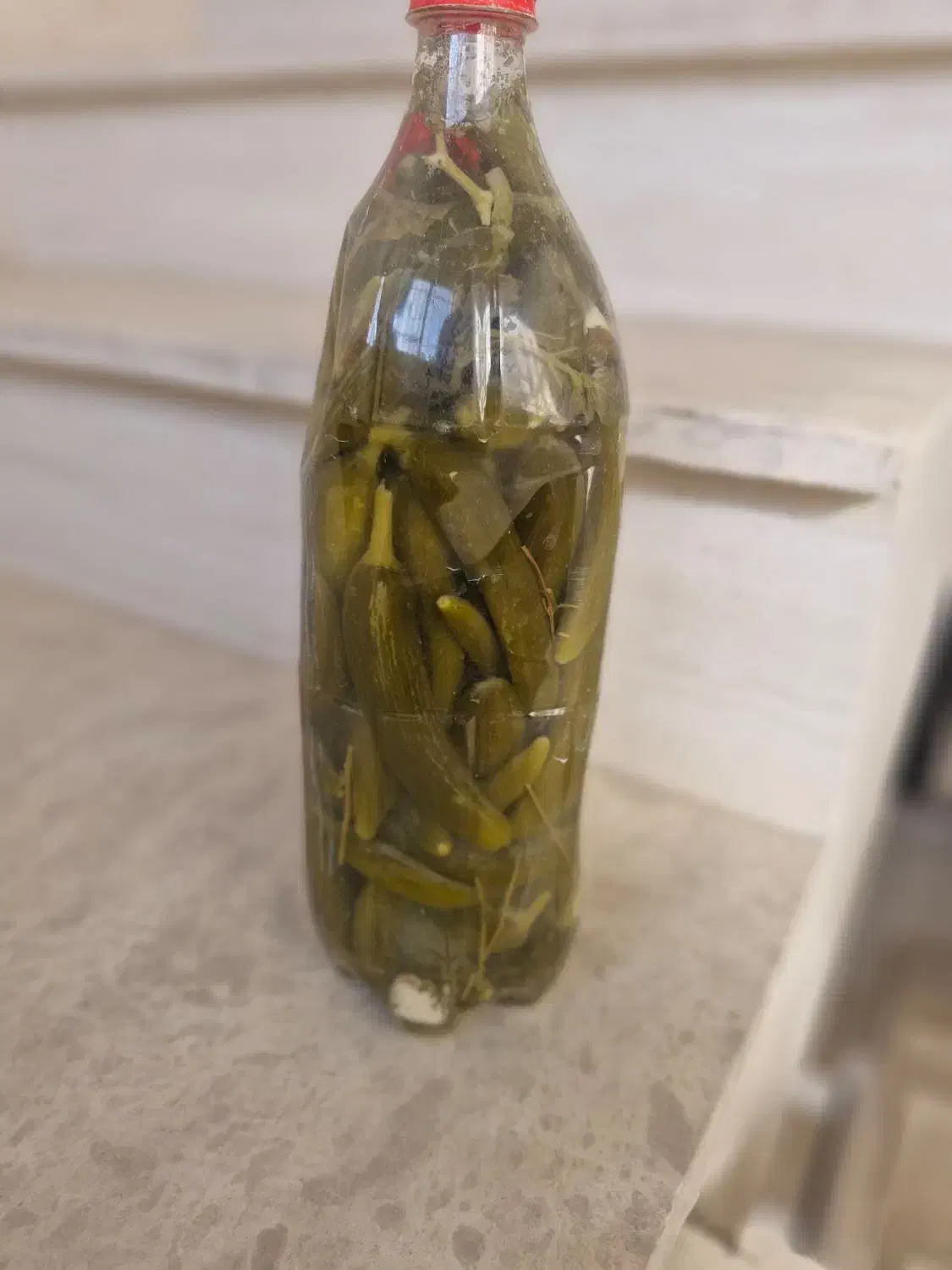 خیار شور|خوردنی و آشامیدنی|رباطکریم, الارد|دیوار