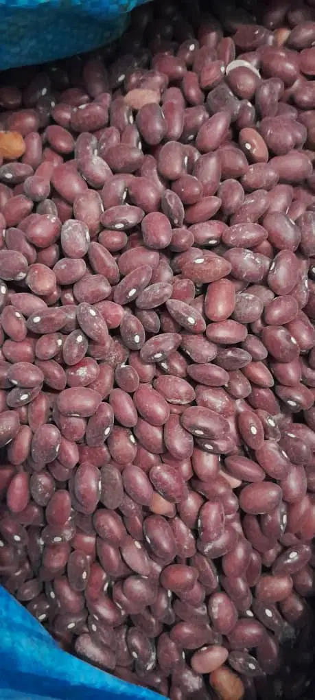 ۲۰۰۰|خوردنی و آشامیدنی|پاسارگاد, |دیوار