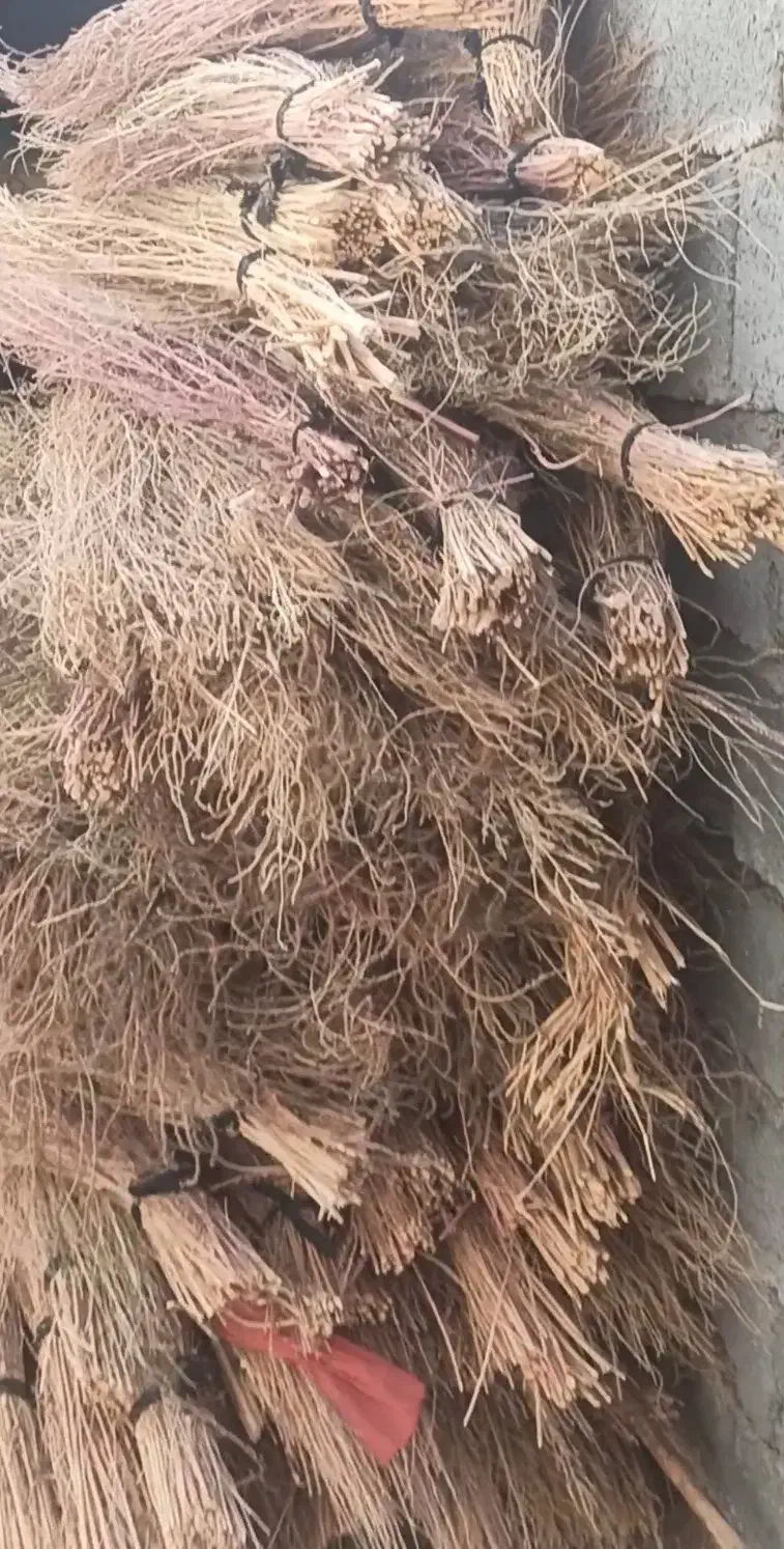 فروش 150 عدد جارو محلی|خدمات باغبانی و درختکاری|کامیاران, |دیوار