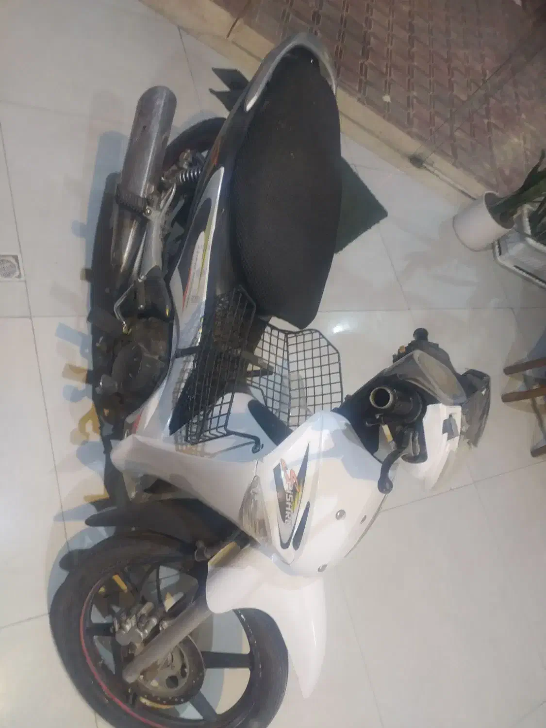 موتور لاکی پیشرو|موتورسیکلت|تربتحیدریه, داروپخش|دیوار