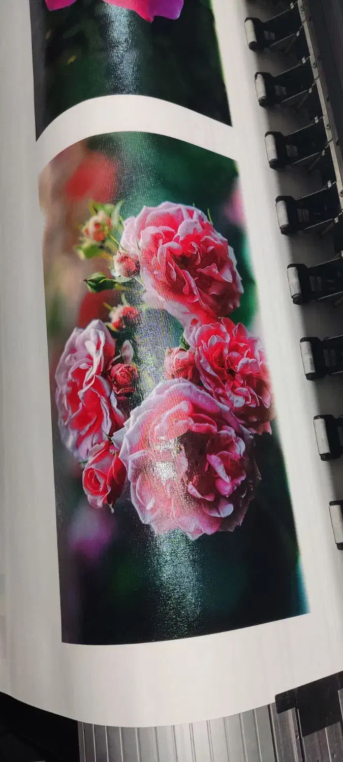 دستگاه اکوسالونت|ماشینآلات صنعتی|بندر ماهشهر, |دیوار