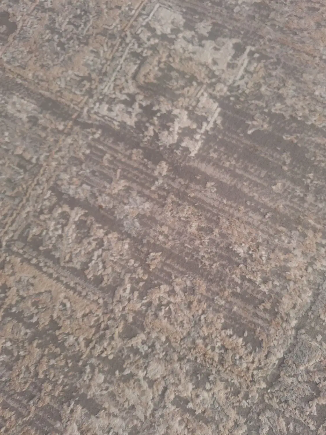 فرش|فرش|تهران, دهقان|دیوار